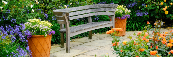 Staged Garden